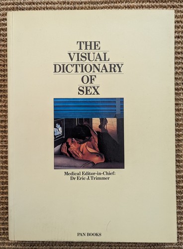 Vintage the visual - visual, dictionary